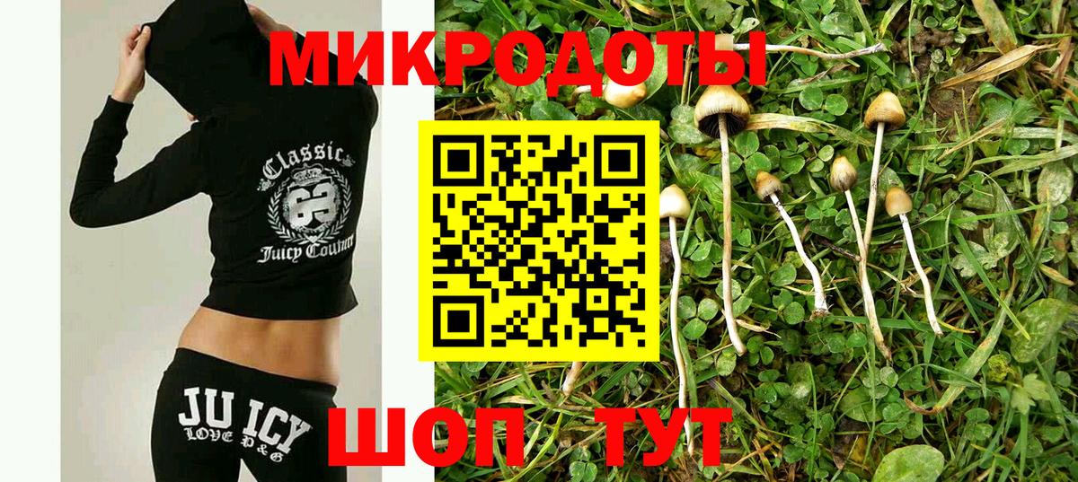 Галлюциногенные грибы ЛСД  Вход с VPN  Энгельс 